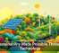 Sustainability Made Possible Through Technology
