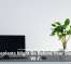 Houseplants Might Be Behind Your Sluggish Wi-Fi