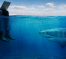 The Most Dangerous Risks in Your Business Don't Swim on the Surface
