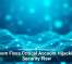 Zoom Fixes Critical Account Hijacking Security Flaw